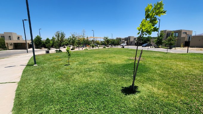 areas verdes condomino