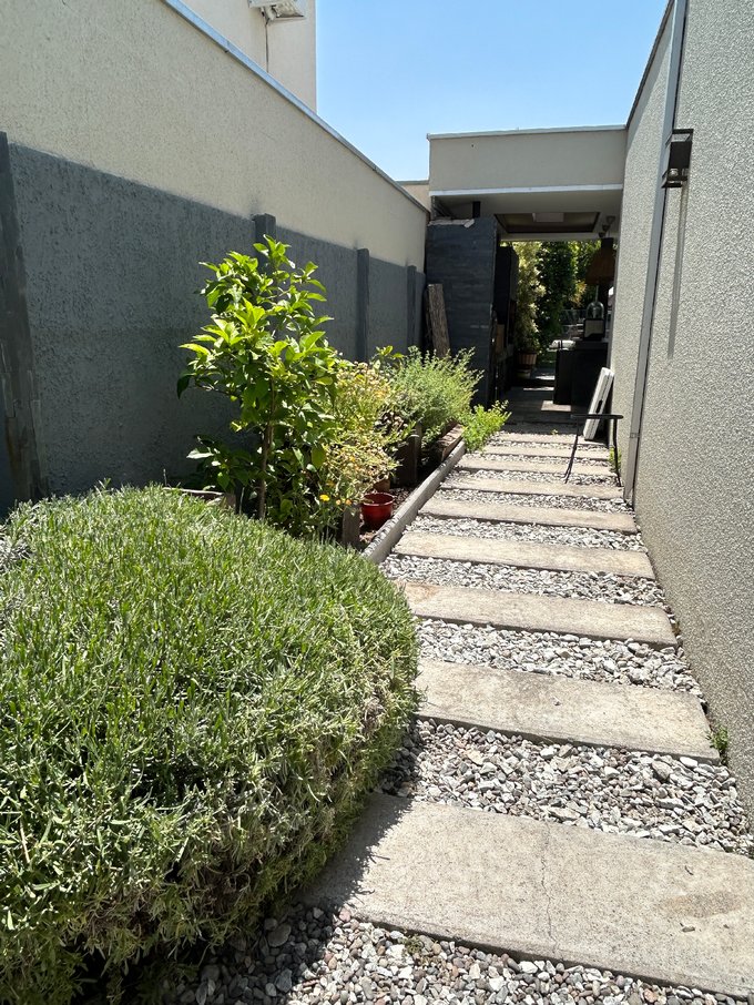 Patio pasillo entre jardines