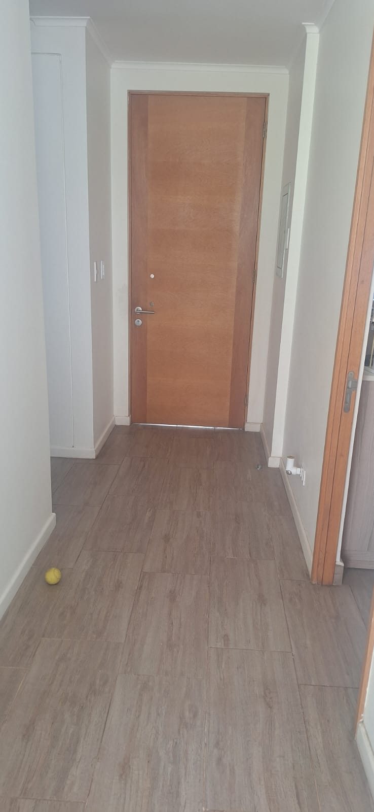 Pasillo de entrada
