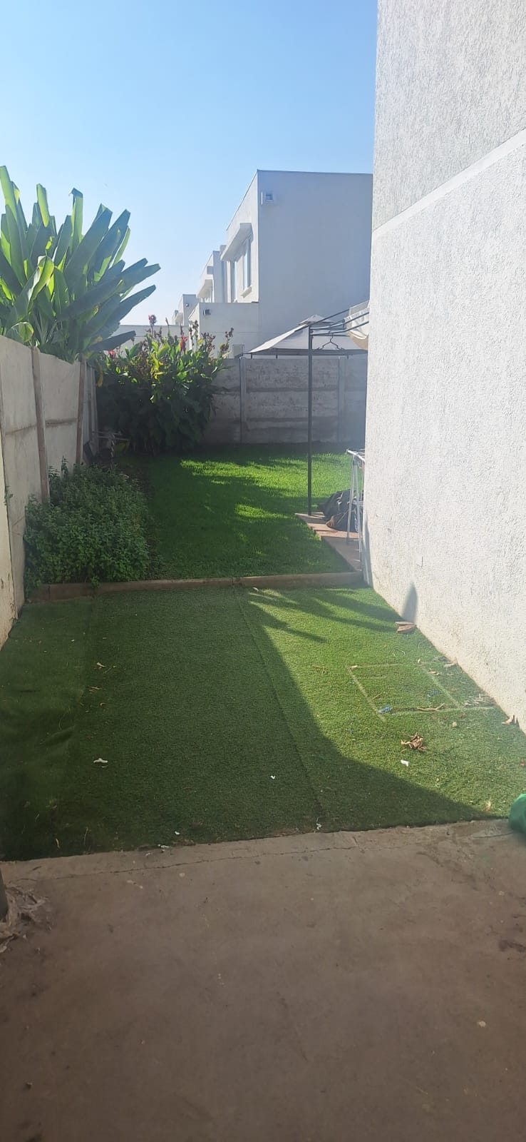 Patio trasero