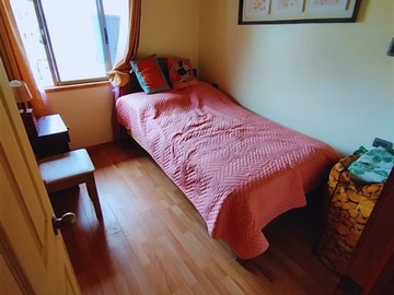 Imagen 11