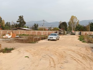 Imagen 11
