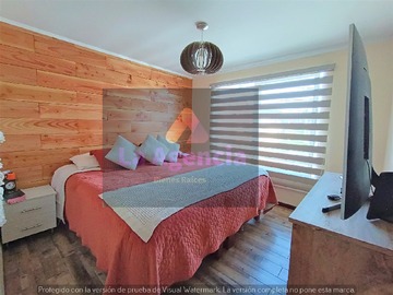 Imagen 7