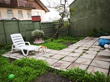 Imagen 8