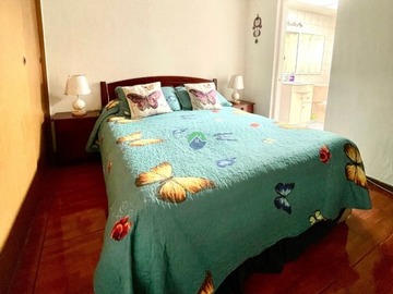 Imagen 21