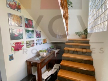 Imagen 5