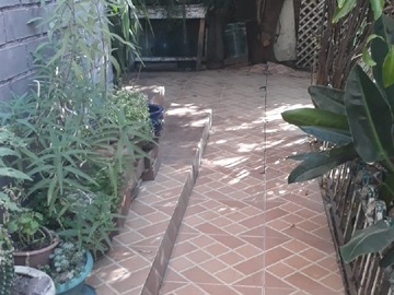 Imagen 7