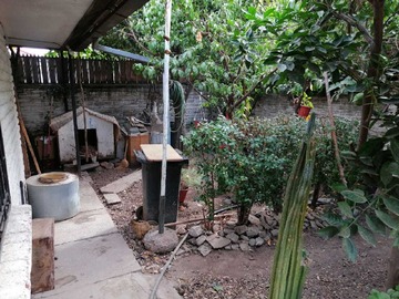 Imagen 22