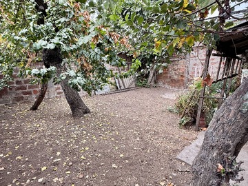Imagen 12