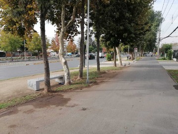 Imagen 13