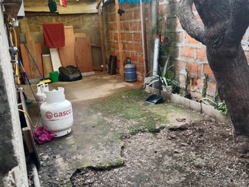 Imagen 10