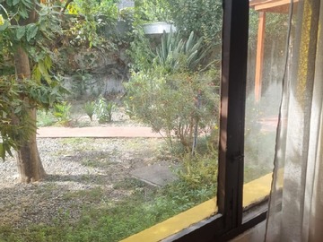 Imagen 14