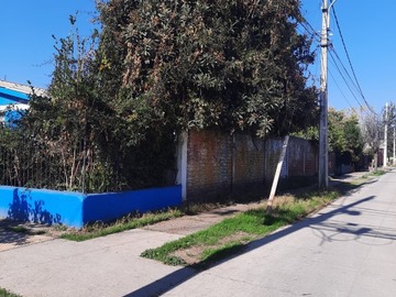 Imagen 6
