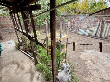 Imagen 11