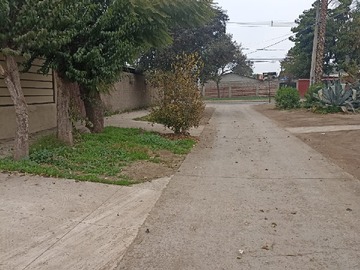 Imagen 10
