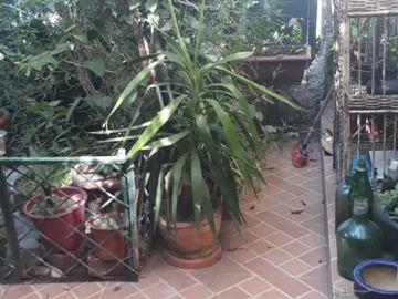Imagen 6