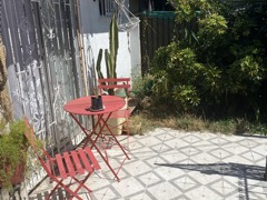 Imagen 5