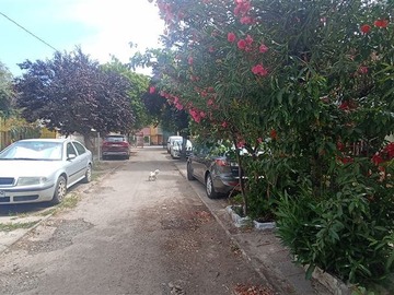 Imagen 17