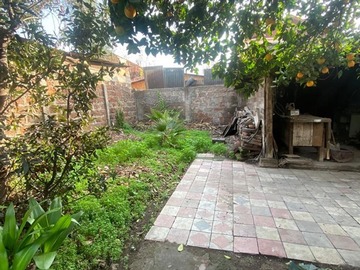 Imagen 12