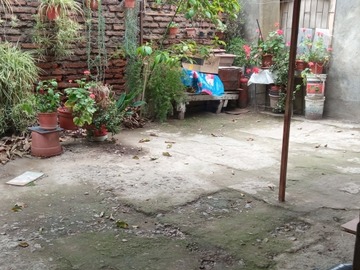 Imagen 7