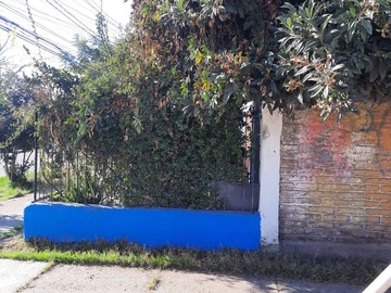 Imagen 5