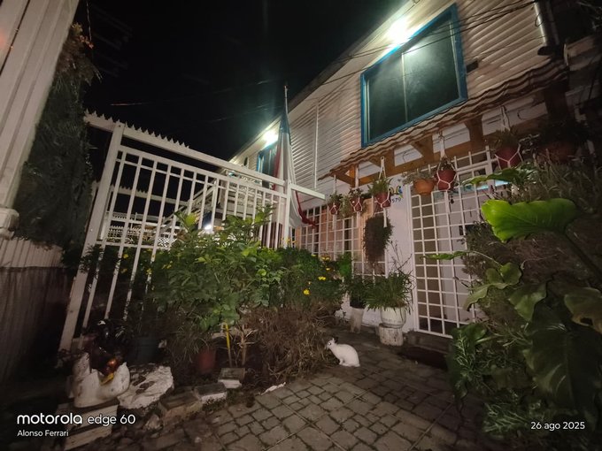 jardín y frente