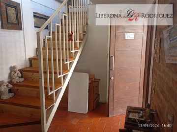Imagen 5