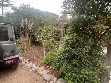 Imagen 21