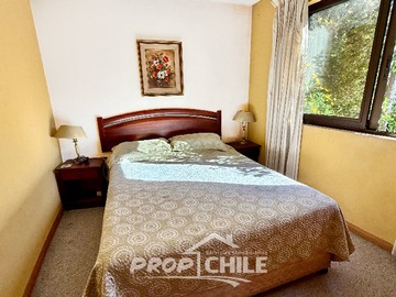 Imagen 11