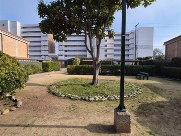 Imagen 38