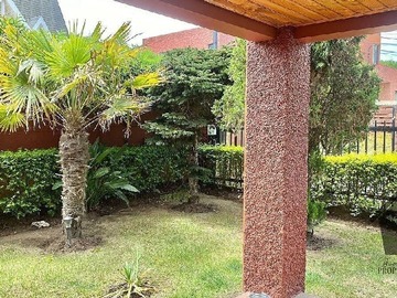 Imagen 5