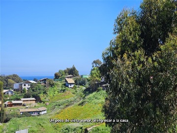 Imagen 21