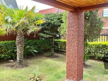 Imagen 4
