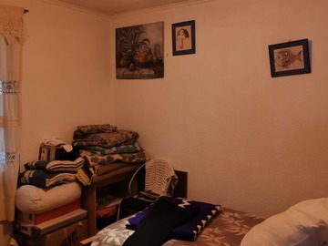 Imagen 14