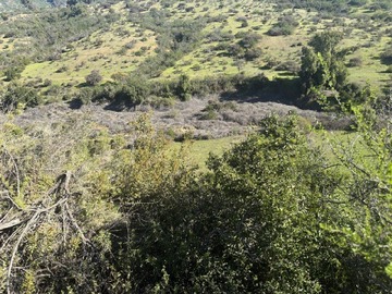 Imagen 13