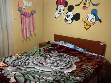 Imagen 7