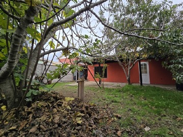 Imagen 14