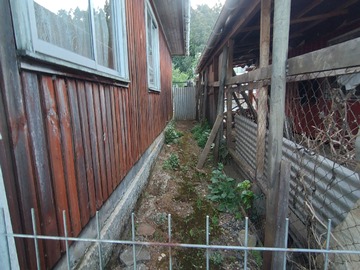 Imagen 11