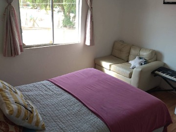 Imagen 15