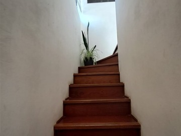 Imagen 26