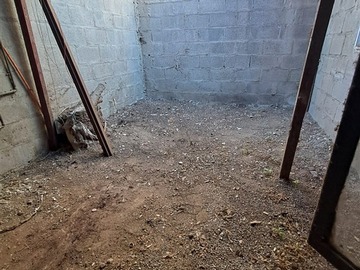 Imagen 8