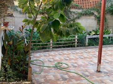 Patio posterior