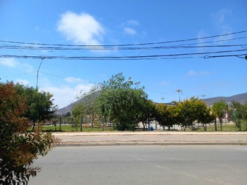 Imagen 11