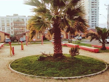 Imagen 14