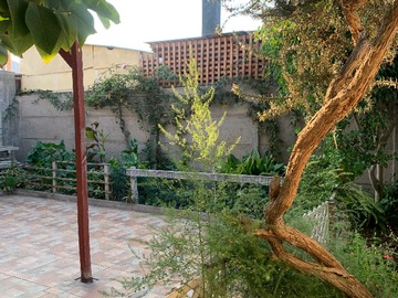 Patio posterior