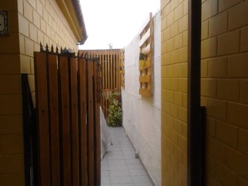 Imagen 13