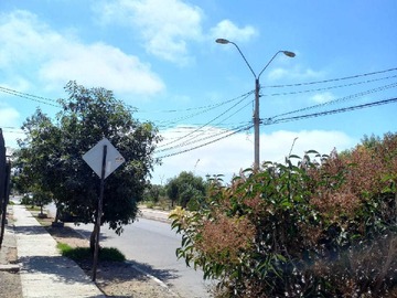 Imagen 15