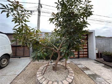 Imagen 4