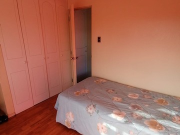 Imagen 16