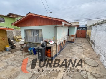 Imagen 5